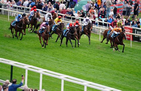 horse racing guide saturday